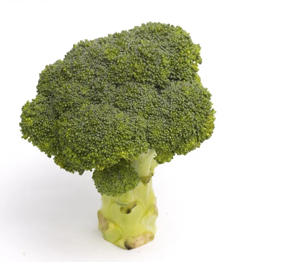 Broccoli da vicino isolati su fondo bianco — Foto Stock