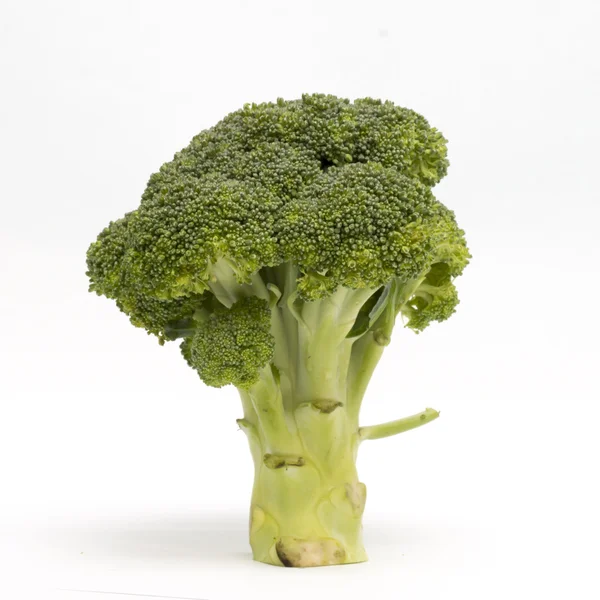 Broccoli isolati su fondo bianco — Foto Stock