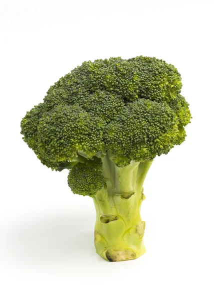 Broccoli isolati su fondo bianco — Foto Stock