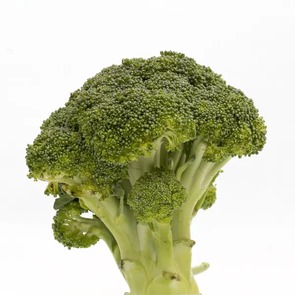 Close-up van broccoli geïsoleerd op witte achtergrond — Stockfoto