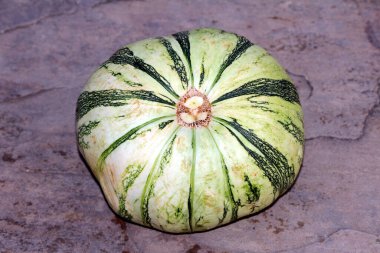 Taze sebze yeşili ve beyaz balkabağı