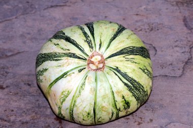 Taze sebze yeşili ve beyaz balkabağı