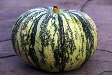 Taze sebze yeşili ve beyaz balkabağı