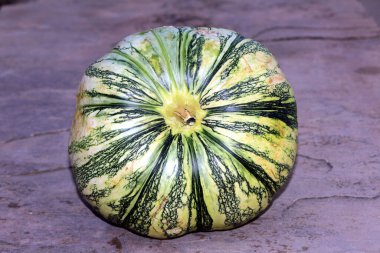 Taze sebze yeşili ve beyaz balkabağı