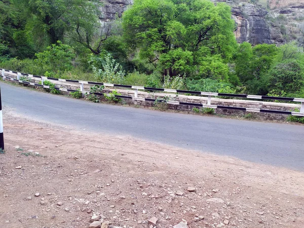 Empyhty Carretera Alrededor Árbol Verde —  Fotos de Stock