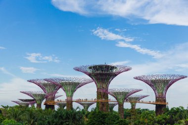 Gardens By The Bay 'deki Supertree Grove Singapur' da ünlü bir turistik merkezdir..