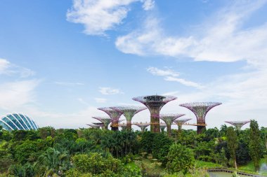 Gardens By The Bay 'deki Supertree Grove Singapur' da ünlü bir turistik merkezdir..