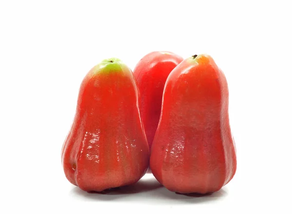 Beyaz arka plan üzerinde gül elma (Syzygium aqueum)