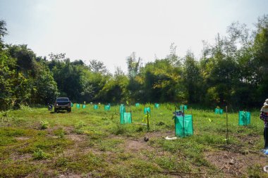 İşçiler kakao çiftliğinde çalışıyor..