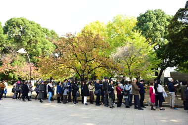 Tokyo, Japonya. 27 Kasım 2019 Tanımlanamayan Görüntü. Birçok insan Ueno parkında yürüyor ve sonbahar ağacını izliyor..