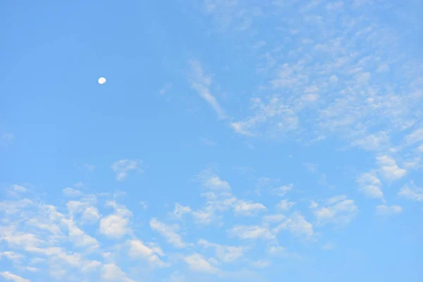 蓝天白云为背景 — 图库照片
