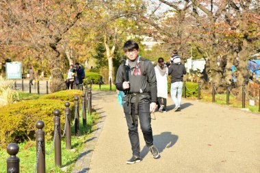 Tokyo, Japonya 27 Kasım 2018 Kimliği belirsiz birçok insan Ueno parkında yürüyor ve bahçedeki sonbahar ağacını izliyor. .