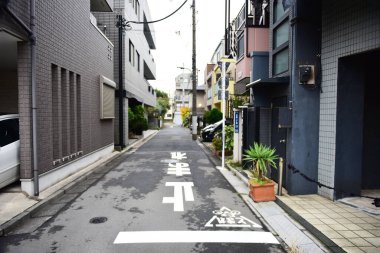 Tokyo, Japonya 21 Kasım 2018 Tanımlanamayan Görüntü Japon vatandaşlarının Tokyo 'ya seyahati.