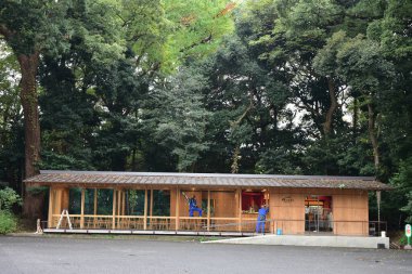 Tokyo, Japonya 21 Kasım 2018 Tanımlanamayan Görüntü Japon vatandaşlarının Tokyo 'ya seyahati.