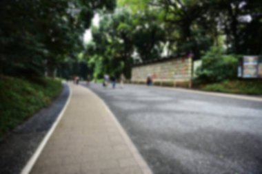 Tokyo Japonya 27 Kasım 2019 Tanımlanamayan Görüntü Sonbaharı Yoyogi Koen Ulusal Bahçesi 'nde.