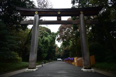 Tokyo Japonya 27 Kasım 2019 Tanımlanamayan Görüntü Sonbaharı Yoyogi Koen Ulusal Bahçesi 'nde.