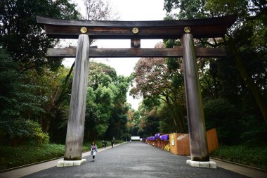 Tokyo Japonya 27 Kasım 2019 Tanımlanamayan Görüntü Sonbaharı Yoyogi Koen Ulusal Bahçesi 'nde.