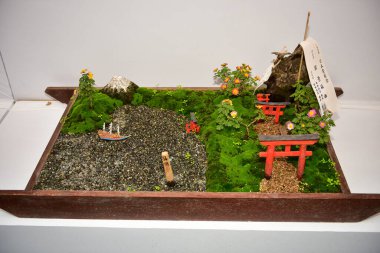 Tokyo Japonya 27 Kasım 2019 Tanımlanamayan Görüntü Sonbaharı Yoyogi Koen Ulusal Bahçesi 'nde.