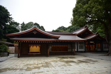 Tokyo Japonya 27 Kasım 2019 Tanımlanamayan Görüntü Sonbaharı Yoyogi Koen Ulusal Bahçesi 'nde.