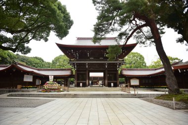 Tokyo Japonya 27 Kasım 2019 Tanımlanamayan Görüntü Sonbaharı Yoyogi Koen Ulusal Bahçesi 'nde.