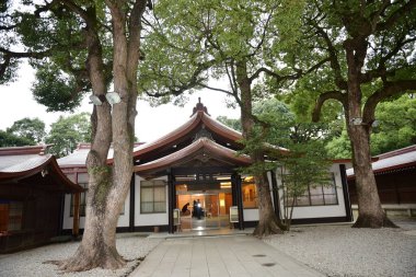 Tokyo Japonya 27 Kasım 2019 Tanımlanamayan Görüntü Sonbaharı Yoyogi Koen Ulusal Bahçesi 'nde.