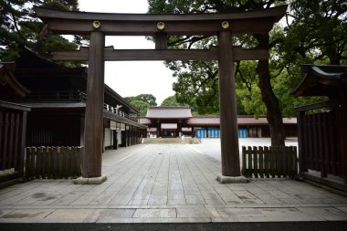 Tokyo Japonya 27 Kasım 2019 Tanımlanamayan Görüntü Sonbaharı Yoyogi Koen Ulusal Bahçesi 'nde.