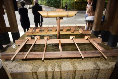 Tokyo Japonya 27 Kasım 2019 Tanımlanamayan Görüntü Sonbaharı Yoyogi Koen Ulusal Bahçesi 'nde.