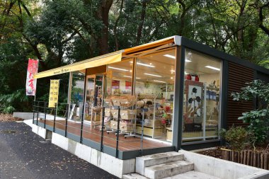 Tokyo Japonya 27 Kasım 2019 Tanımlanamayan Görüntü Sonbaharı Yoyogi Koen Ulusal Bahçesi 'nde.