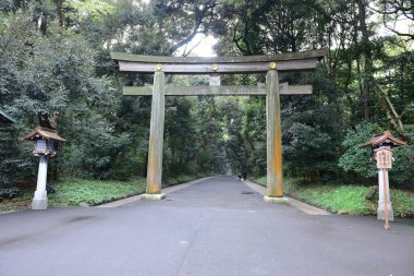 Tokyo Japonya 27 Kasım 2019 Tanımlanamayan Görüntü Sonbaharı Yoyogi Koen Ulusal Bahçesi 'nde.