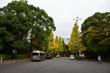 Tokyo Japonya 27 Kasım 2019 Tanımlanamayan Görüntü Sonbaharı Yoyogi Koen Ulusal Bahçesi 'nde.