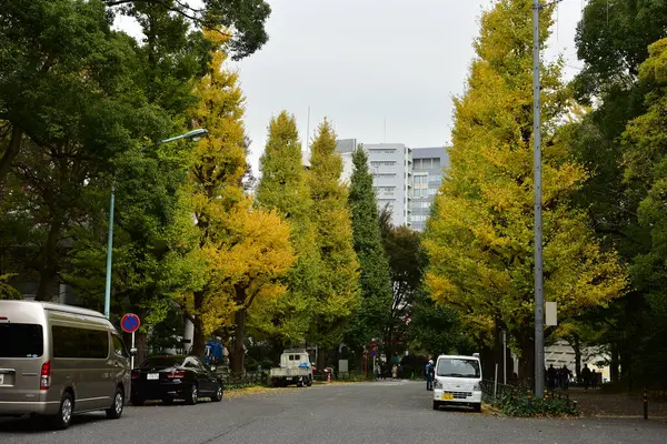 Tokyo Japan November 2019 Unidentified Blur Autumn Leaves Yoyogi Koen — Stock Photo, Image