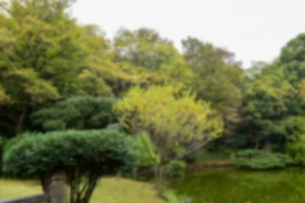 Tokio Japan November 2019 Unbekannte Verwischen Herbstblätter Yoyogi Koen Nationalgarten — Stockfoto