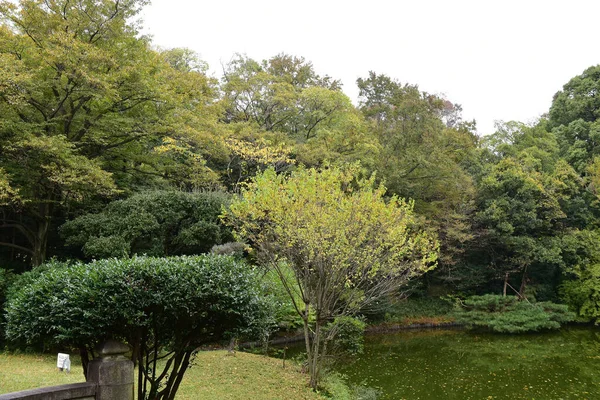 Tokio Japan November 2019 Unbekannte Verwischen Herbstblätter Yoyogi Koen Nationalgarten — Stockfoto