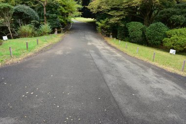 Tokyo Japonya 27 Kasım 2019 Tanımlanamayan Görüntü Sonbaharı Yoyogi Koen Ulusal Bahçesi 'nde.