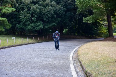 Tokyo Japonya 27 Kasım 2019 Tanımlanamayan Görüntü Sonbaharı Yoyogi Koen Ulusal Bahçesi 'nde.