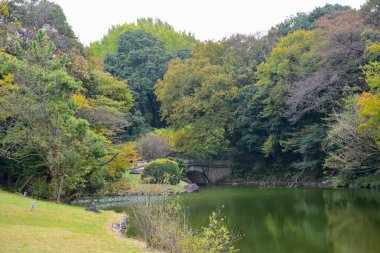 Tokyo Japonya 27 Kasım 2019 Tanımlanamayan Görüntü Sonbaharı Yoyogi Koen Ulusal Bahçesi 'nde.