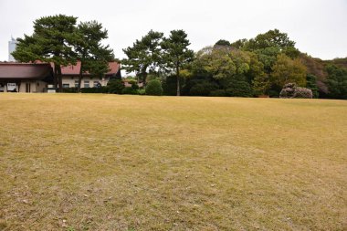 Tokyo Japonya 27 Kasım 2019 Tanımlanamayan Görüntü Sonbaharı Yoyogi Koen Ulusal Bahçesi 'nde.