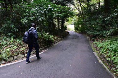 Tokyo Japonya 27 Kasım 2019 Tanımlanamayan Görüntü Sonbaharı Yoyogi Koen Ulusal Bahçesi 'nde.