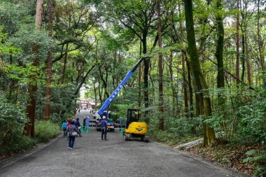Tokyo Japonya 27 Kasım 2019 Tanımlanamayan Görüntü Sonbaharı Yoyogi Koen Ulusal Bahçesi 'nde.