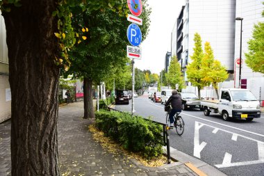 Tokyo, Japonya 21 Kasım 2018 Tokyo 'daki tanımlanamayan Japon binaları ve binaları.
