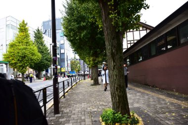 Tokyo, Japonya 21 Kasım 2018 Tokyo 'daki tanımlanamayan Japon binaları ve binaları.