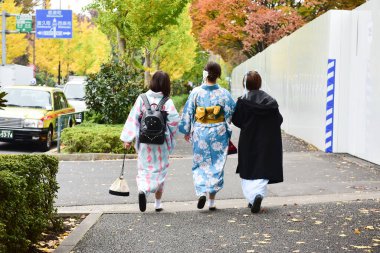 Tokyo, Japonya 21 Kasım 2018 Tokyo 'daki tanımlanamayan Japon binaları ve binaları.