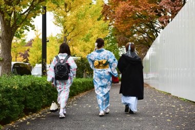 Tokyo, Japonya 21 Kasım 2018 Tokyo 'daki tanımlanamayan Japon binaları ve binaları.