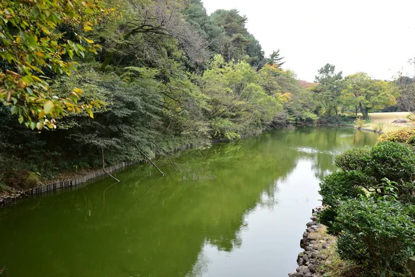 Tokio Japón Noviembre 2019 Desenfoque Identificado Hojas Otoño Jardín Nacional —  Fotos de Stock