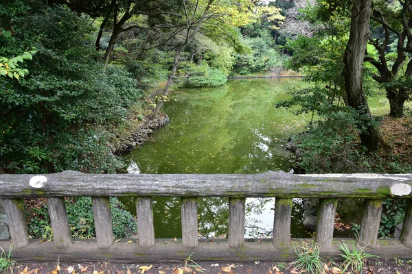 Tokio Japan November 2019 Unbekannte Verwischen Herbstblätter Yoyogi Koen Nationalgarten — Stockfoto