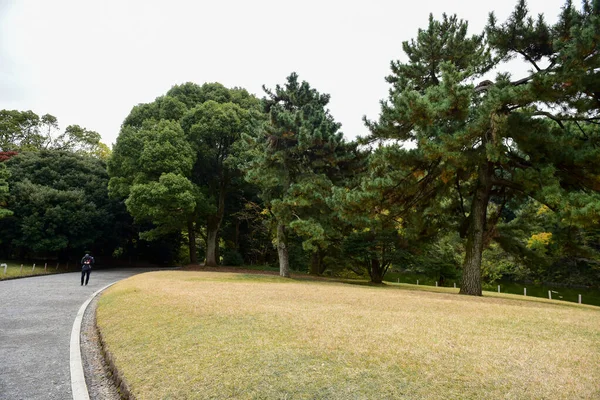 Tokio Japan November 2019 Unbekannte Verwischen Herbstblätter Yoyogi Koen Nationalgarten — Stockfoto