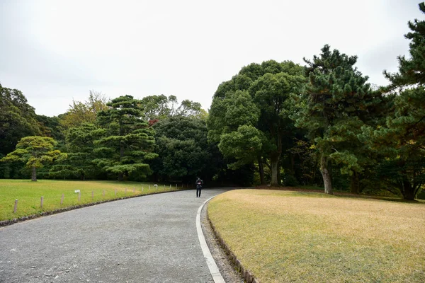 Tokio Japan November 2019 Unbekannte Verwischen Herbstblätter Yoyogi Koen Nationalgarten — Stockfoto