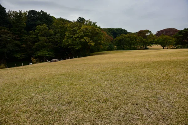 Tokio Japan November 2019 Unbekannte Verwischen Herbstblätter Yoyogi Koen Nationalgarten — Stockfoto