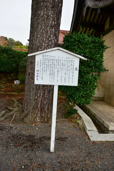 Tokio Japonia Listopad 2019 Niezidentyfikowane Liście Jesieni Ogrodzie Narodowym Yoyogi — Zdjęcie stockowe