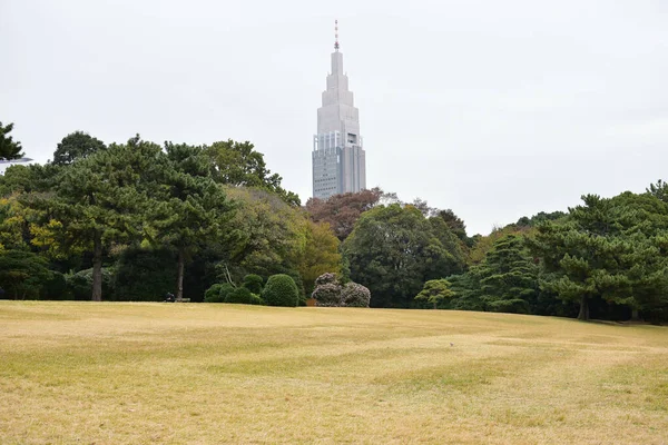 東京日本2019年11月27日確認されていないぼかし 代々木公園の紅葉 — ストック写真